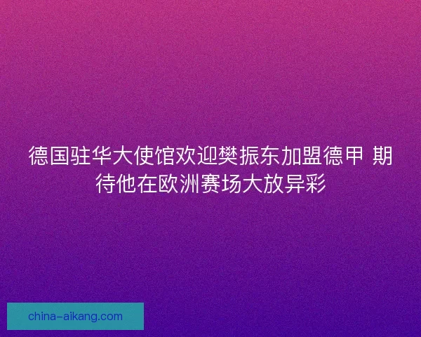 德国驻华大使馆欢迎樊振东加盟德甲 期待他在欧洲赛场大放异彩